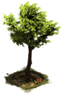 Fichier:D SS StoneAge Tree.png