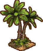 Fichier:Palm Tree.png