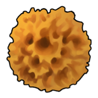 Fichier:Enhanced Porifera.png